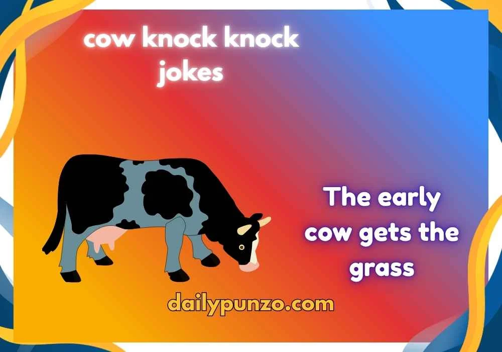 cow knock knock jokes